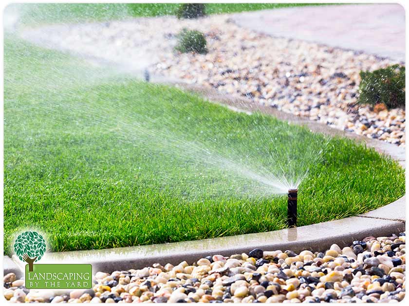 How to Properly Water Your Lawn